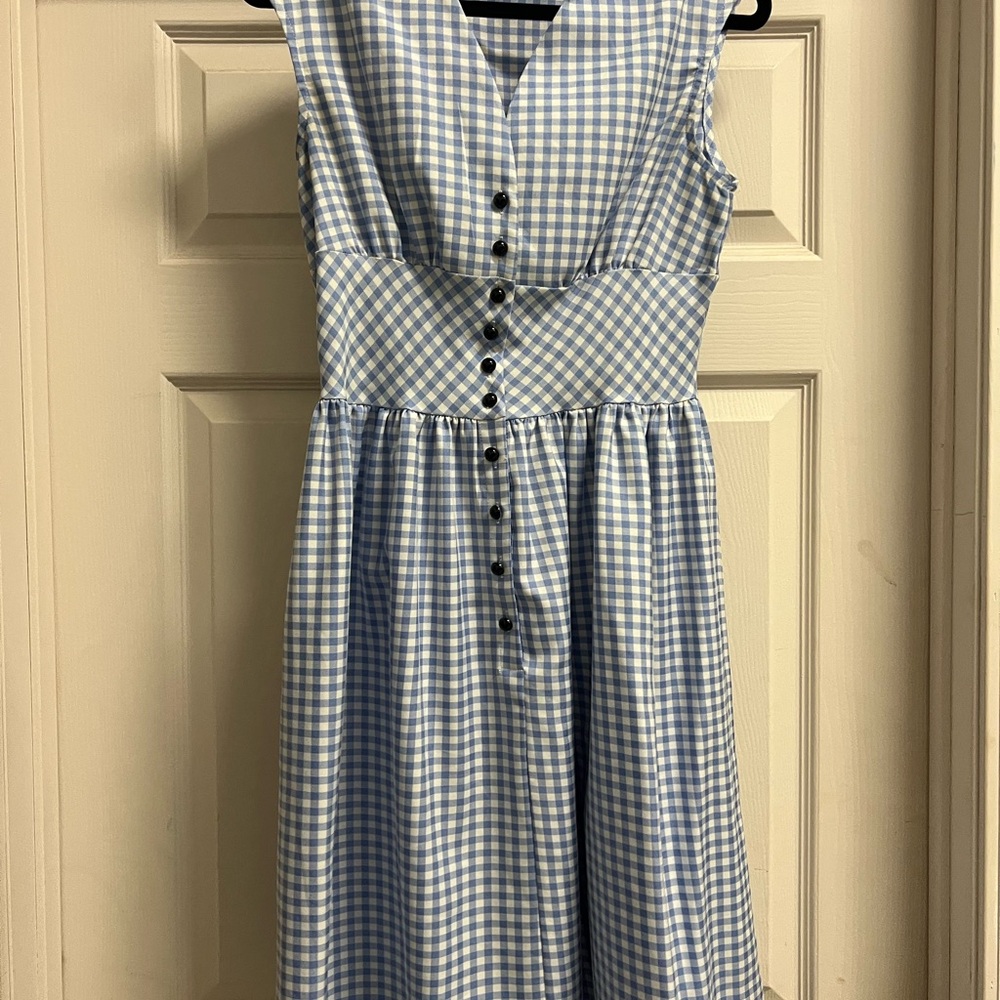 Blue Gingham Dress